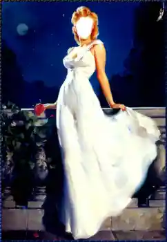 Fotoeffekt aus der Kategorie Für Frauen № 59092