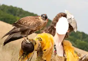 Fotoeffekt aus der Kategorie Für Frauen № 61598