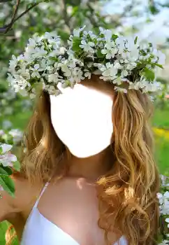 Fotoeffekt aus der Kategorie Für Frauen № 68660