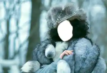 Fotoeffekt aus der Kategorie Für Frauen № 85277