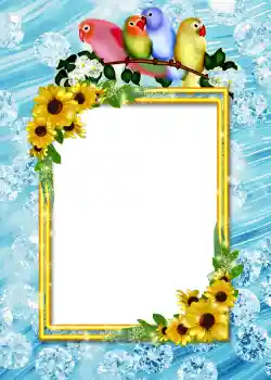 Fotoeffekt aus der Kategorie Album Nr. 4 № 860