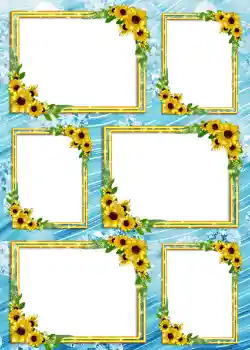 Fotoeffekt aus der Kategorie Album Nr. 4 № 904