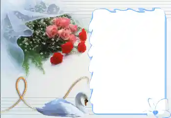 Fotoeffekt aus der Kategorie Rahmen für verliebte № 12892