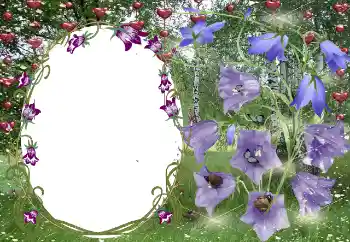 Fotoeffekt aus der Kategorie Rahmen für verliebte № 131799