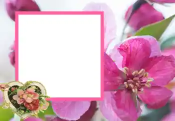 Fotoeffekt aus der Kategorie Rahmen für verliebte № 43593 Fotoeffekt aus der Kategorie Rahmen für verliebte № 43593