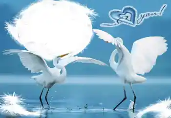 Fotoeffekt aus der Kategorie Rahmen für verliebte № 60198. Beschriftung auf dem Rahmen: I love you! Fotoeffekt aus der Kategorie Rahmen für verliebte № 60198. Beschriftung auf dem Rahmen: I love you!