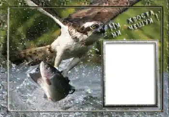 Fotoeffekt aus der Kategorie Fotorahmen für Männer № 88119. Beschriftung auf dem Rahmen: Angeln