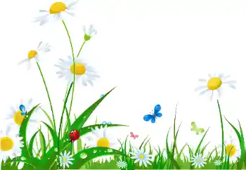 Beschriftung auf dem Rahmen: Alles Gute zum Frauentag! Beschriftung auf dem Rahmen: Alles Gute zum Frauentag!