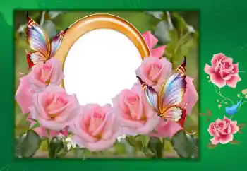 Beschriftung auf dem Rahmen: Alle Gute zum Jubiläum! Beschriftung auf dem Rahmen: Alle Gute zum Jubiläum!