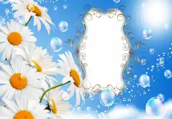 Beschriftung auf dem Rahmen: Alle Gute zum Jubiläum! Beschriftung auf dem Rahmen: Alle Gute zum Jubiläum!