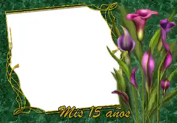 Beschriftung auf dem Rahmen: Alles Gute zum Geburtstag! Beschriftung auf dem Rahmen: Alles Gute zum Geburtstag!