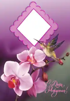 Beschriftung auf dem Rahmen: Alles Gute zum Geburtstag! Beschriftung auf dem Rahmen: Alles Gute zum Geburtstag!