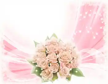 Beschriftung auf dem Rahmen: Alles Gute zum Geburtstag! Beschriftung auf dem Rahmen: Alles Gute zum Geburtstag!