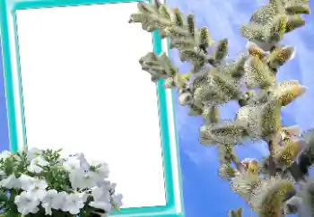 Fotoeffekt aus der Kategorie Grußkarten zu Ostern № 131205