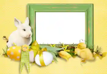 Fotoeffekt aus der Kategorie Grußkarten zu Ostern № 131503