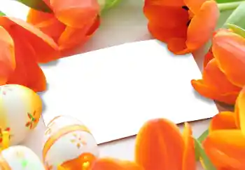 Fotoeffekt aus der Kategorie Grußkarten zu Ostern № 93170