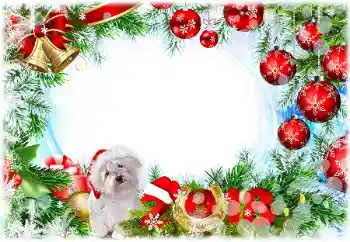 Beschriftung auf dem Rahmen: 2026 Beschriftung auf dem Rahmen: 2026