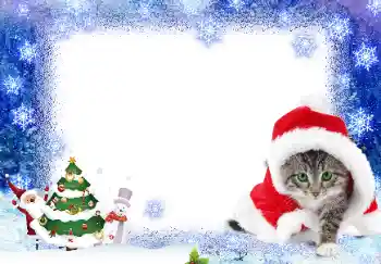 Fotoeffekt aus der Kategorie Grußkarten zum Silvester № 17139