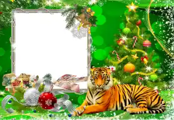 Fotoeffekt aus der Kategorie Grußkarten zum Silvester № 194162 Fotoeffekt aus der Kategorie Grußkarten zum Silvester № 194162