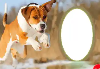 Beschriftung auf dem Rahmen: Frohes Neues Beschriftung auf dem Rahmen: Frohes Neues