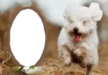 Beschriftung auf dem Rahmen: Frohes Neues Beschriftung auf dem Rahmen: Frohes Neues