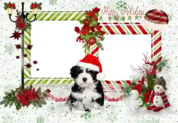 Fotoeffekt aus der Kategorie Verschiedene Feiertage № 163336. Beschriftung auf dem Rahmen: Happy Holidays