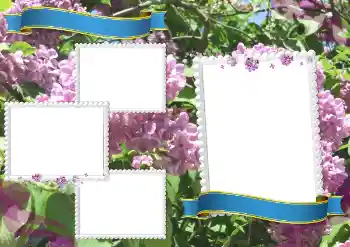 Fotoeffekt aus der Kategorie Verschiedene Schulfotoalben № 205334 Fotoeffekt aus der Kategorie Verschiedene Schulfotoalben № 205334