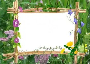 Fotoeffekt aus der Kategorie Sommer № 1001 Fotoeffekt aus der Kategorie Sommer № 1001