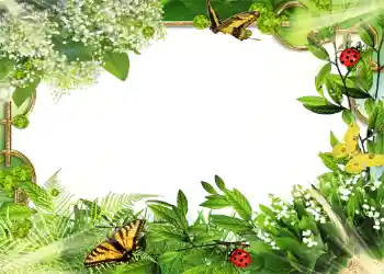 Fotoeffekt aus der Kategorie Sommer № 1109 Fotoeffekt aus der Kategorie Sommer № 1109