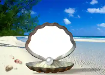 Fotoeffekt aus der Kategorie Sommer № 1111 Fotoeffekt aus der Kategorie Sommer № 1111