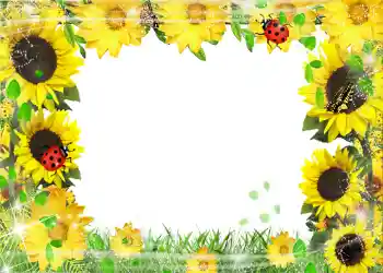 Fotoeffekt aus der Kategorie Sommer № 1113 Fotoeffekt aus der Kategorie Sommer № 1113