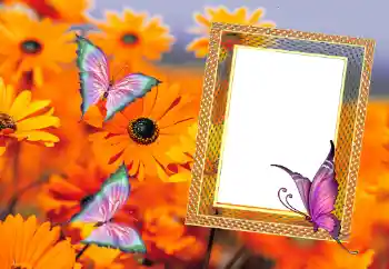 Fotoeffekt aus der Kategorie Sommer № 112111 Fotoeffekt aus der Kategorie Sommer № 112111