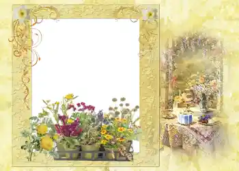 Fotoeffekt aus der Kategorie Sommer № 1121 Fotoeffekt aus der Kategorie Sommer № 1121