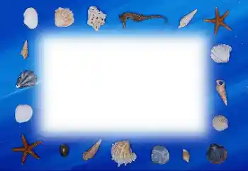 Fotoeffekt aus der Kategorie Sommer № 113121 Fotoeffekt aus der Kategorie Sommer № 113121