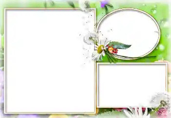 Fotoeffekt aus der Kategorie Sommer № 114273 Fotoeffekt aus der Kategorie Sommer № 114273