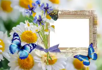 Fotoeffekt aus der Kategorie Sommer № 114393 Fotoeffekt aus der Kategorie Sommer № 114393