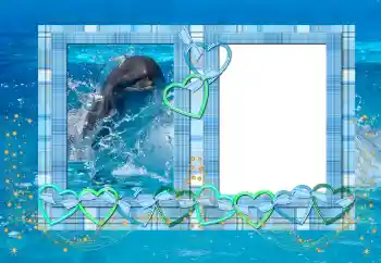 Fotoeffekt aus der Kategorie Sommer № 114439 Fotoeffekt aus der Kategorie Sommer № 114439