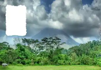 Fotoeffekt aus der Kategorie Sommer № 114456 Fotoeffekt aus der Kategorie Sommer № 114456