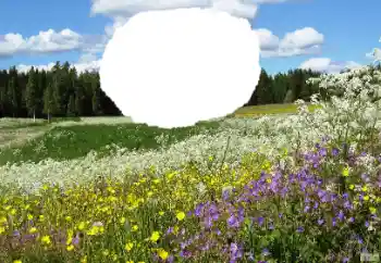 Fotoeffekt aus der Kategorie Sommer № 114457 Fotoeffekt aus der Kategorie Sommer № 114457