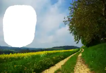 Fotoeffekt aus der Kategorie Sommer № 114551 Fotoeffekt aus der Kategorie Sommer № 114551