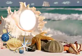 Fotoeffekt aus der Kategorie Sommer № 115806 Fotoeffekt aus der Kategorie Sommer № 115806