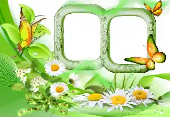 Fotoeffekt aus der Kategorie Sommer № 115844 Fotoeffekt aus der Kategorie Sommer № 115844