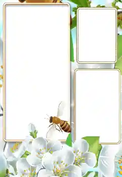 Fotoeffekt aus der Kategorie Sommer № 116125 Fotoeffekt aus der Kategorie Sommer № 116125