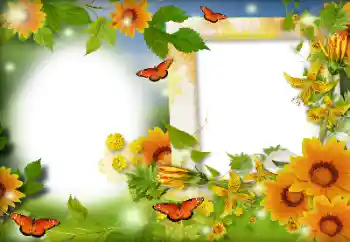 Fotoeffekt aus der Kategorie Sommer № 116126