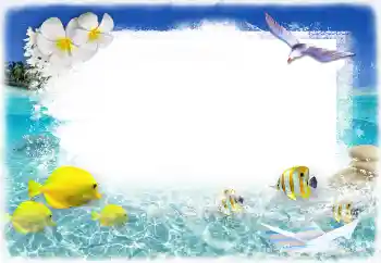 Fotoeffekt aus der Kategorie Sommer № 117731