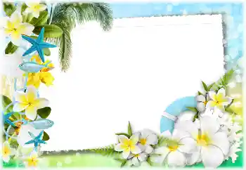 Fotoeffekt aus der Kategorie Sommer № 117734