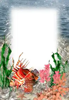 Fotoeffekt aus der Kategorie Sommer № 121109 Fotoeffekt aus der Kategorie Sommer № 121109