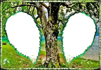 Fotoeffekt aus der Kategorie Sommer № 123182 Fotoeffekt aus der Kategorie Sommer № 123182