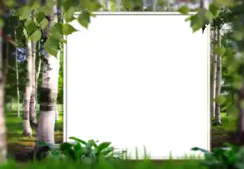 Fotoeffekt aus der Kategorie Sommer № 128567 Fotoeffekt aus der Kategorie Sommer № 128567