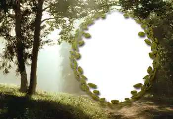 Fotoeffekt aus der Kategorie Sommer № 130985 Fotoeffekt aus der Kategorie Sommer № 130985